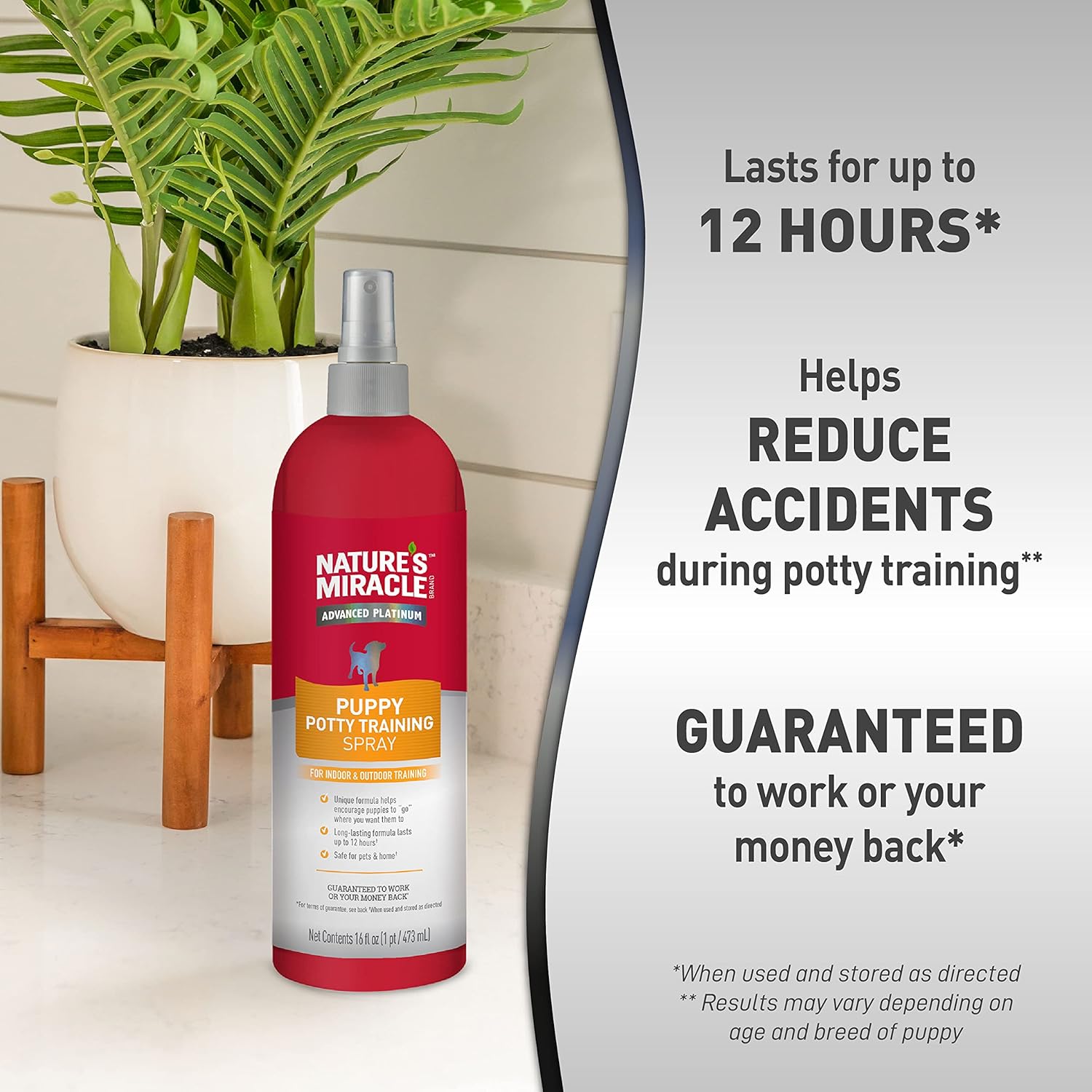 Nature’s Miracle Advanced Platinum Puppy Potty Training Spray, 16 Ounces, Dog Training Aid - Image 6