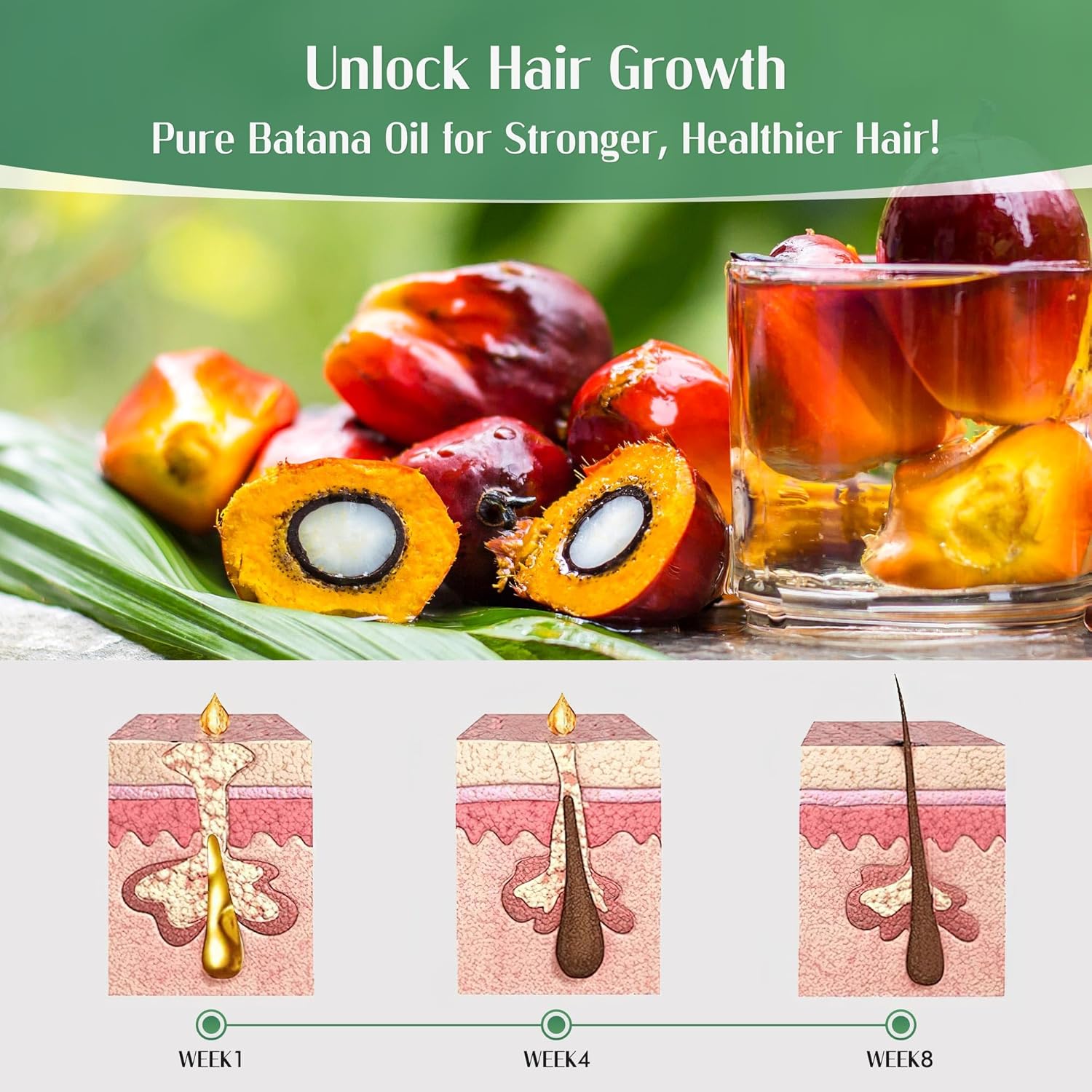 Organic Batana Oil from Honduras for Hair Growth, 4.06 Fl Oz, Controls Frizz - Image 6