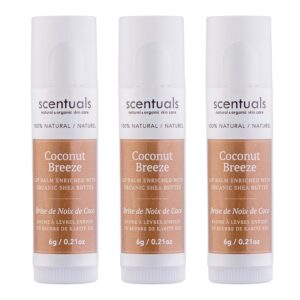 Lip Balm Set of 3, Made with Shea Butter, Cocoa Butter, Castor, Avocado & Jojoba oil, Beeswax, Vitamin E and Essential oil, Moisturizing Lip Care, Cruelty Free Hydration, 100% Natural (3 Pack)
