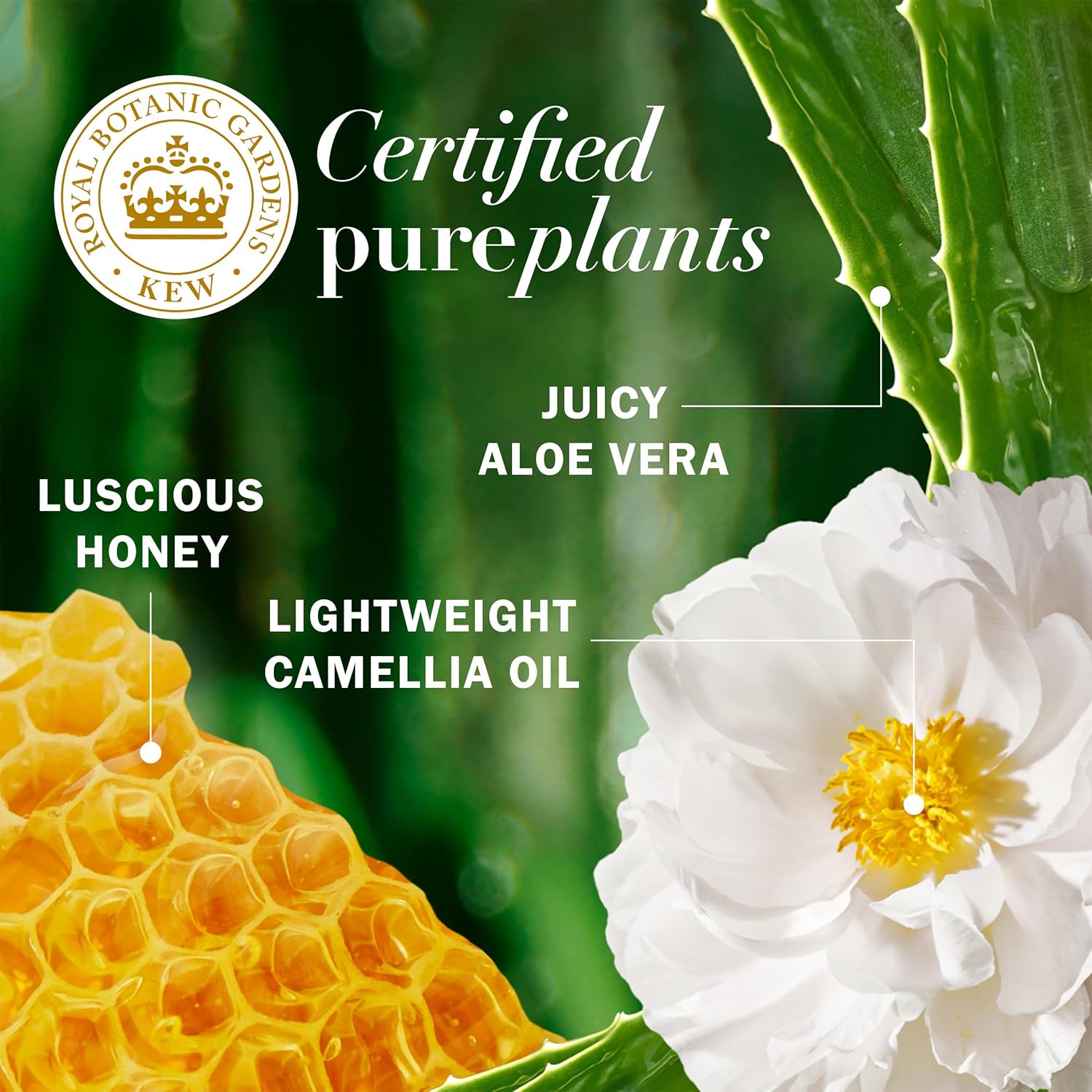 Herbal Essences Honey Daily Moisture Conditioner 33.8oz Dry Hair Camellia Oil Aloe Vera - Image 7