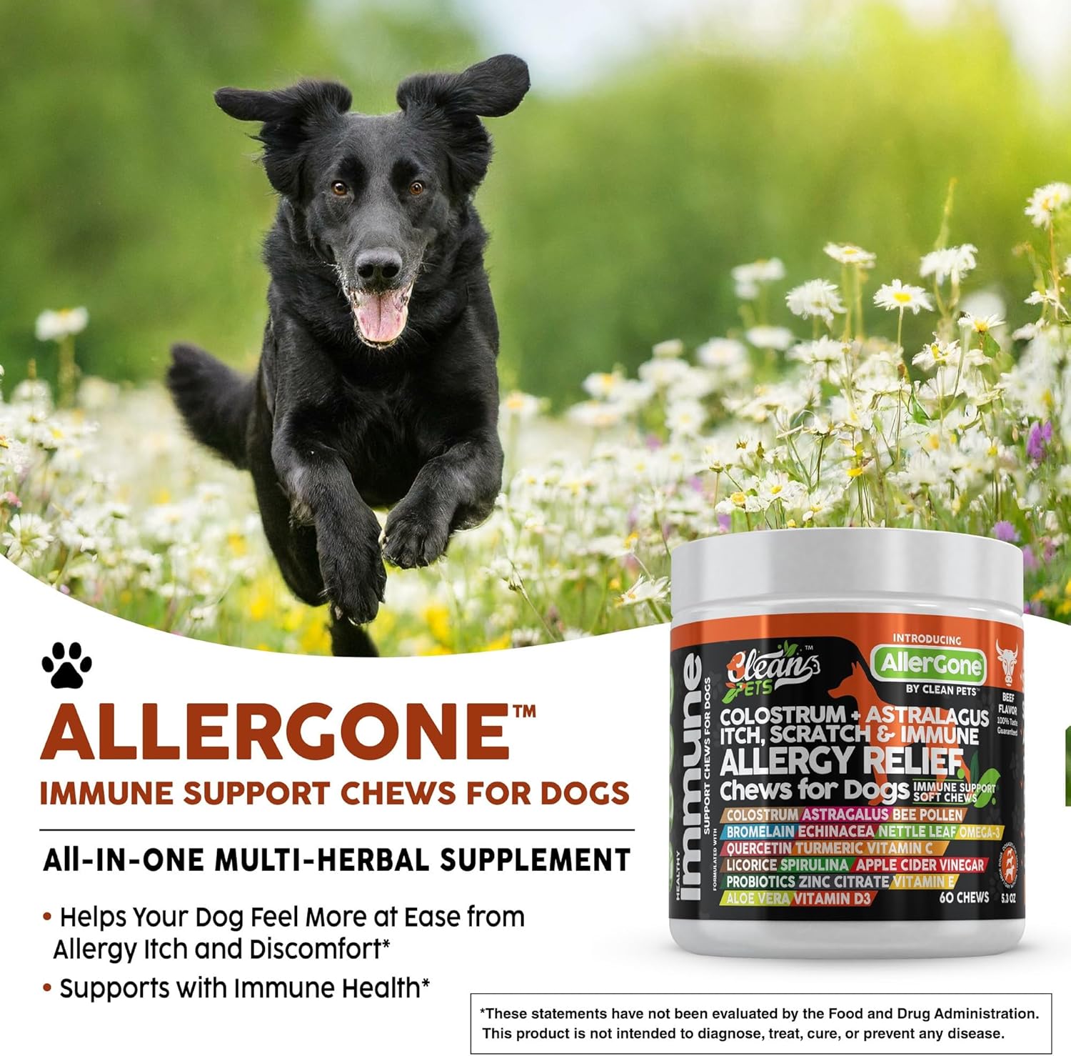 Dog Allergy Relief Chews | Itchy Skin Relief for Dogs | Colostrum Astralagus Omega 3 Bee Pollen Bromelain Echinacea Nettle Leaf Quercetin Licorice Root Spirulina ACV Immune - Pack of 1 - Image 4