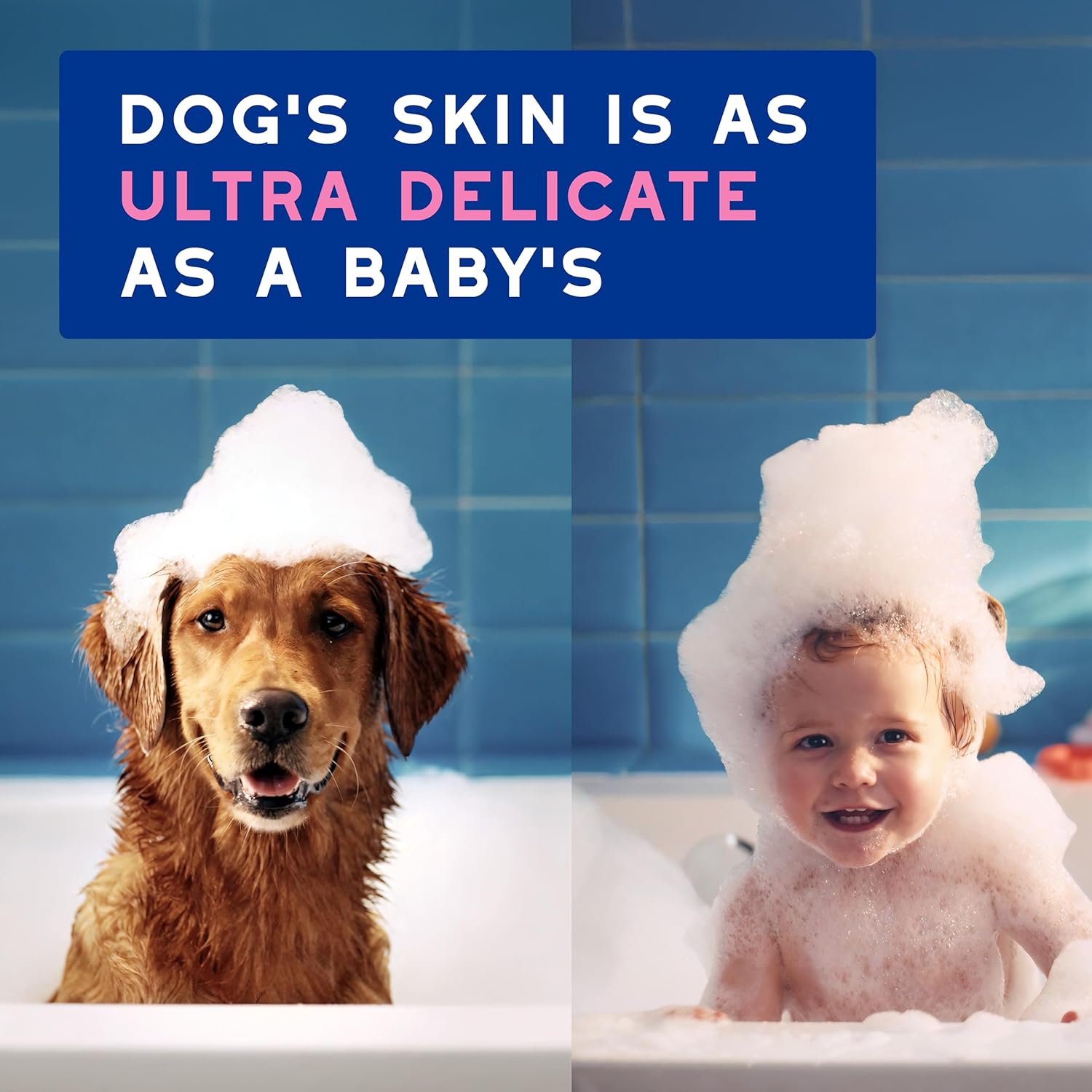 DOUXO Gentle Cleansing SPA Dog Shampoo for Itchy Skin, 16 fl oz - Image 4
