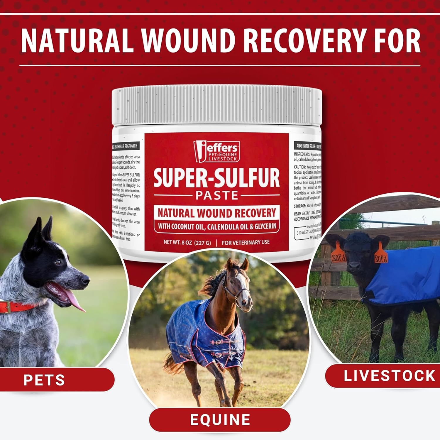 Jeffers Super Sulfur Healing Paste 8 oz Natural Skin & Wound Care for Pets Livestock - Image 4