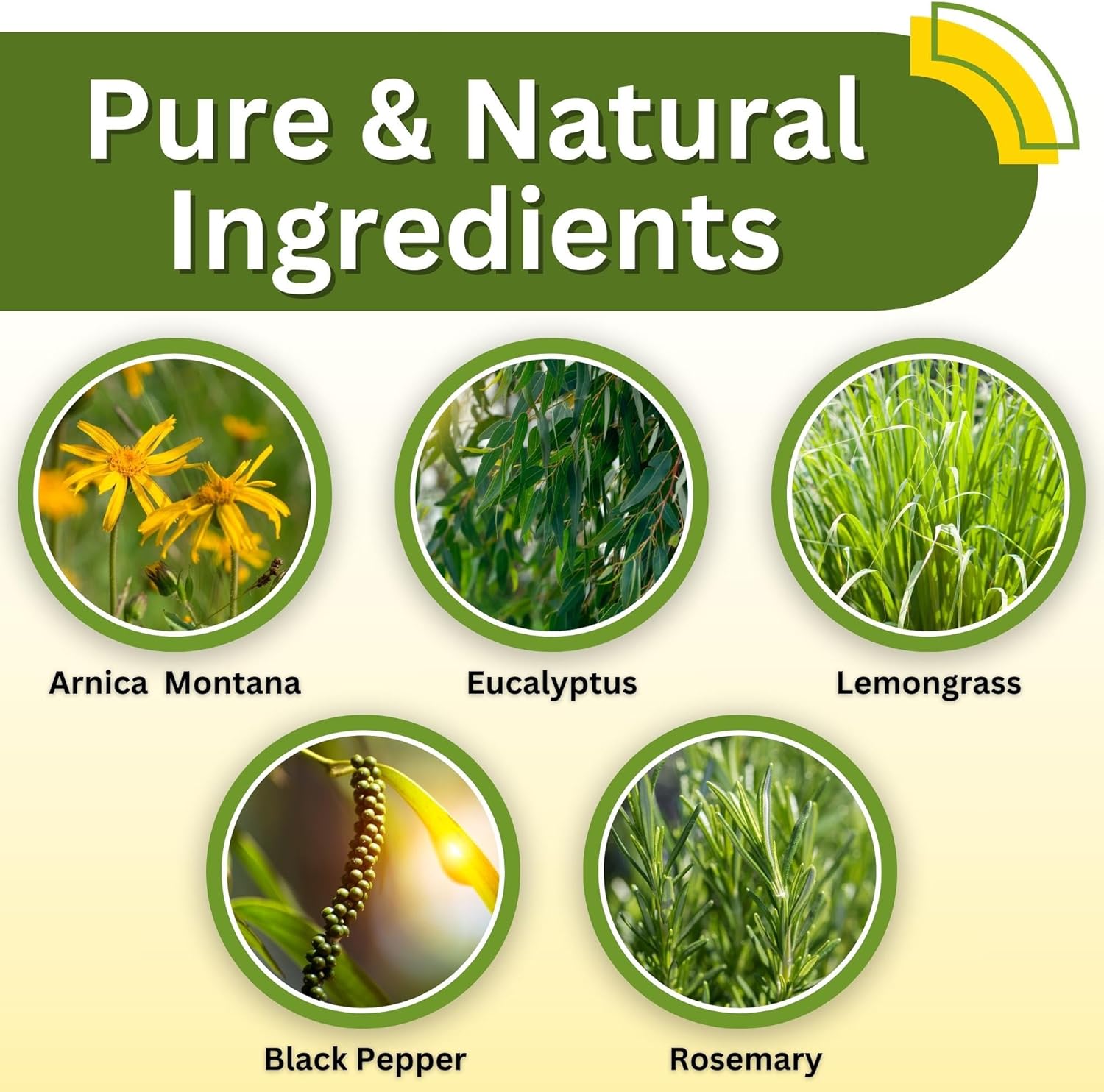 Therapeutic Arnica Massage Oil 8 oz with Lemongrass for Home and Professional Use - Image 5