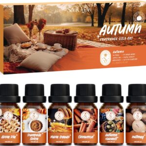 Autumn Essential Oils Set, Fragrance Oil Gift Set for Oil Diffusers, Scented Oils for Soap Candle Making 6x10ml - Pumpkin Spice, Nutmeg, Apple Pie, Autumn Harvest, Cinnamon, and Maple Syrup