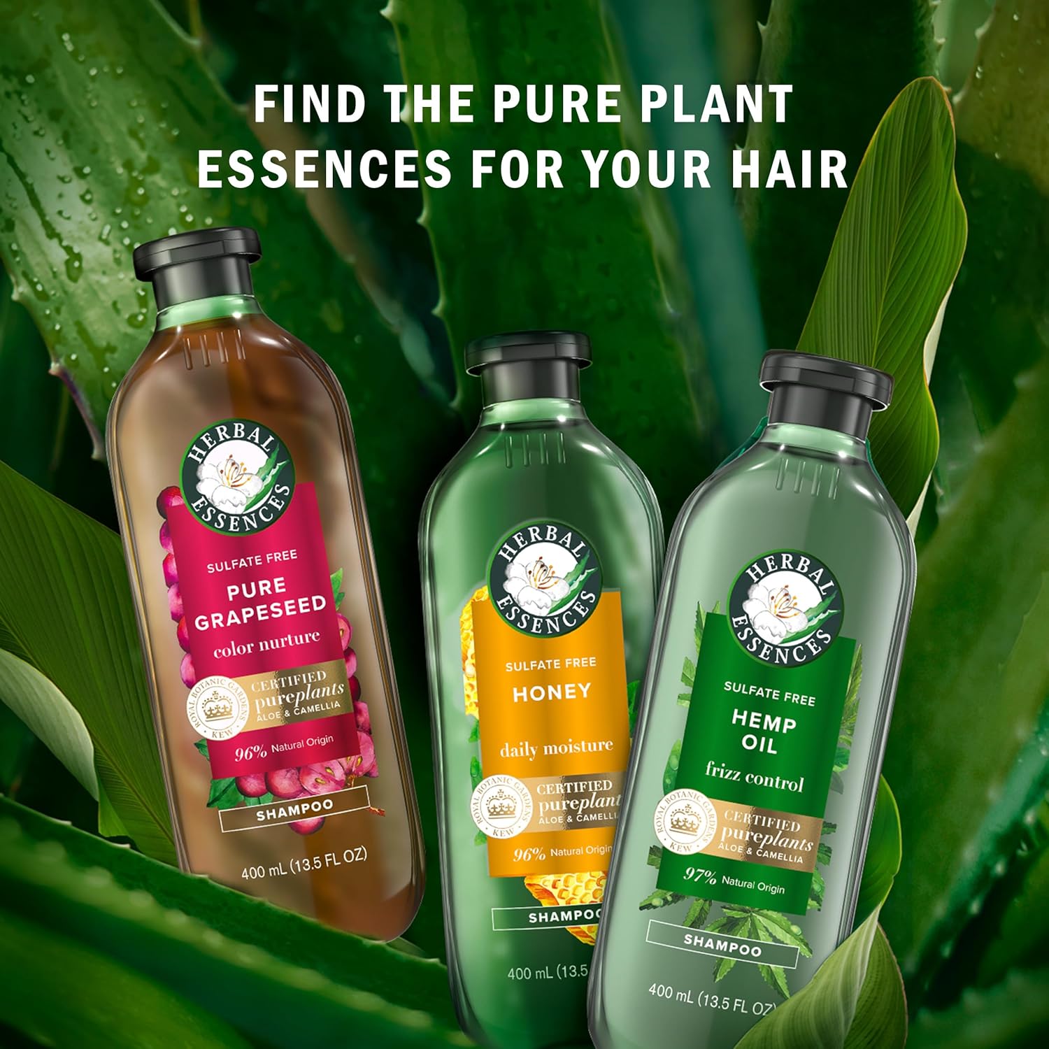 Herbal Essences Honey Daily Moisture Conditioner 33.8oz Dry Hair Camellia Oil Aloe Vera - Image 11
