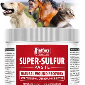 Jeffers Super Sulfur Healing Paste – Natural Skin & Wound Care for Horses, Dogs, Cats & Livestock – Soothing Sulfur Based Formula with Calendula, Bentonite Clay & Coconut Oil – 8 oz