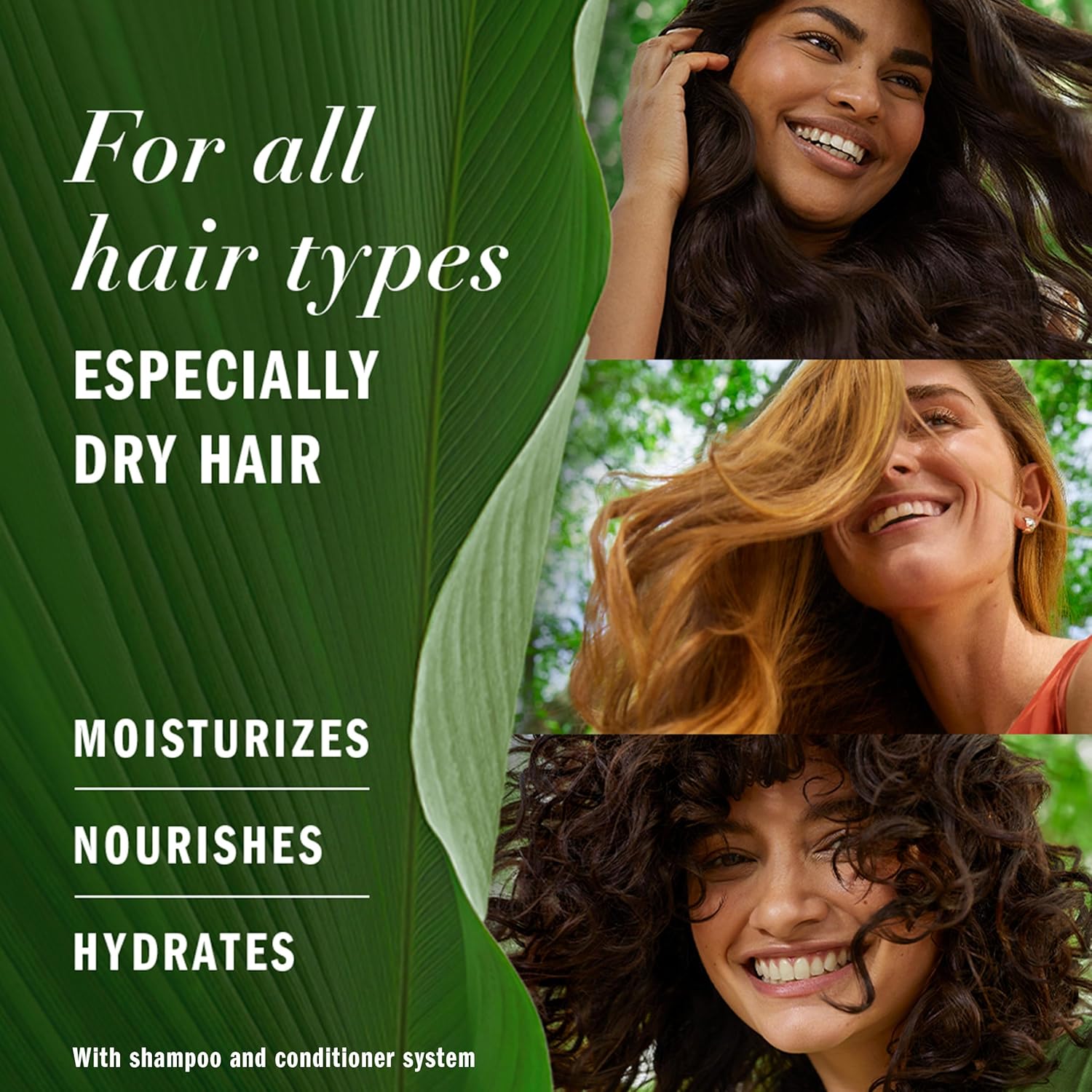 Herbal Essences Honey Daily Moisture Conditioner 33.8oz Dry Hair Camellia Oil Aloe Vera - Image 4