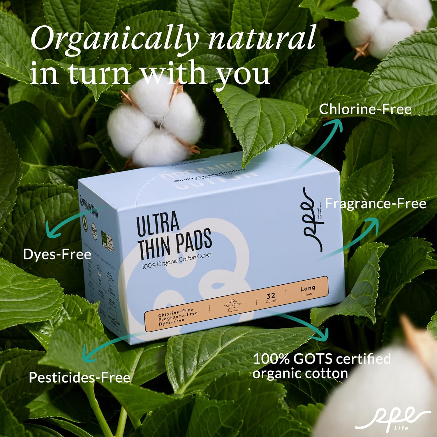 Organic Ultra Thin Long Panty Liners for Women, 96 Count, Light Absorbency, Unscented - Image 2