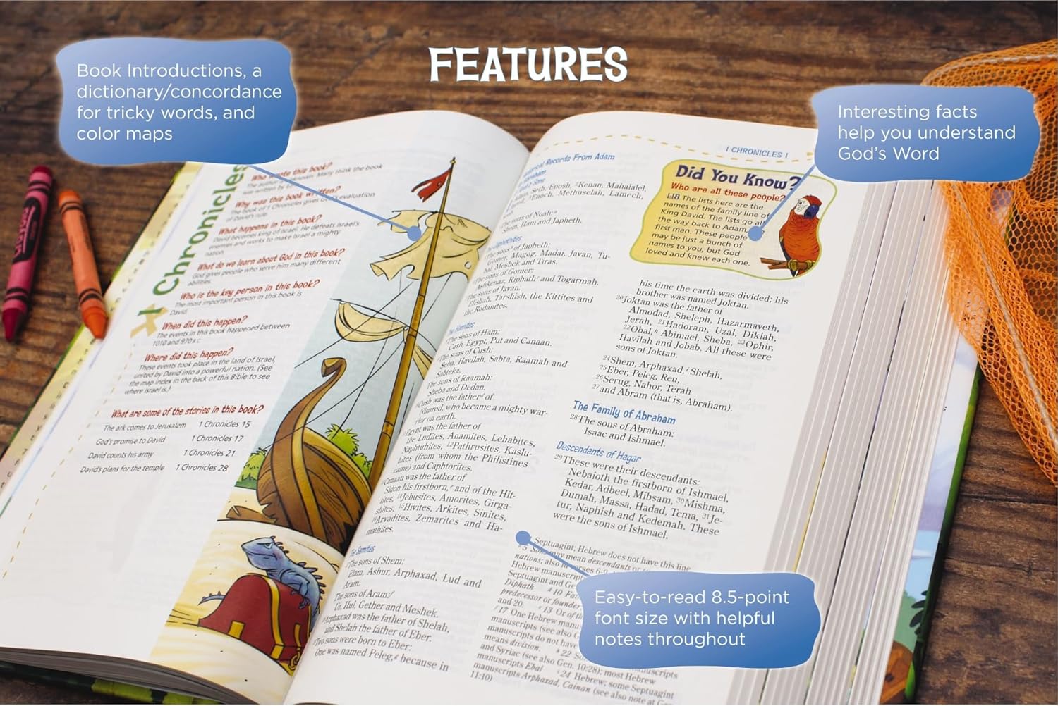 NIV, Adventure Bible, Hardcover, Full Color - Image 6