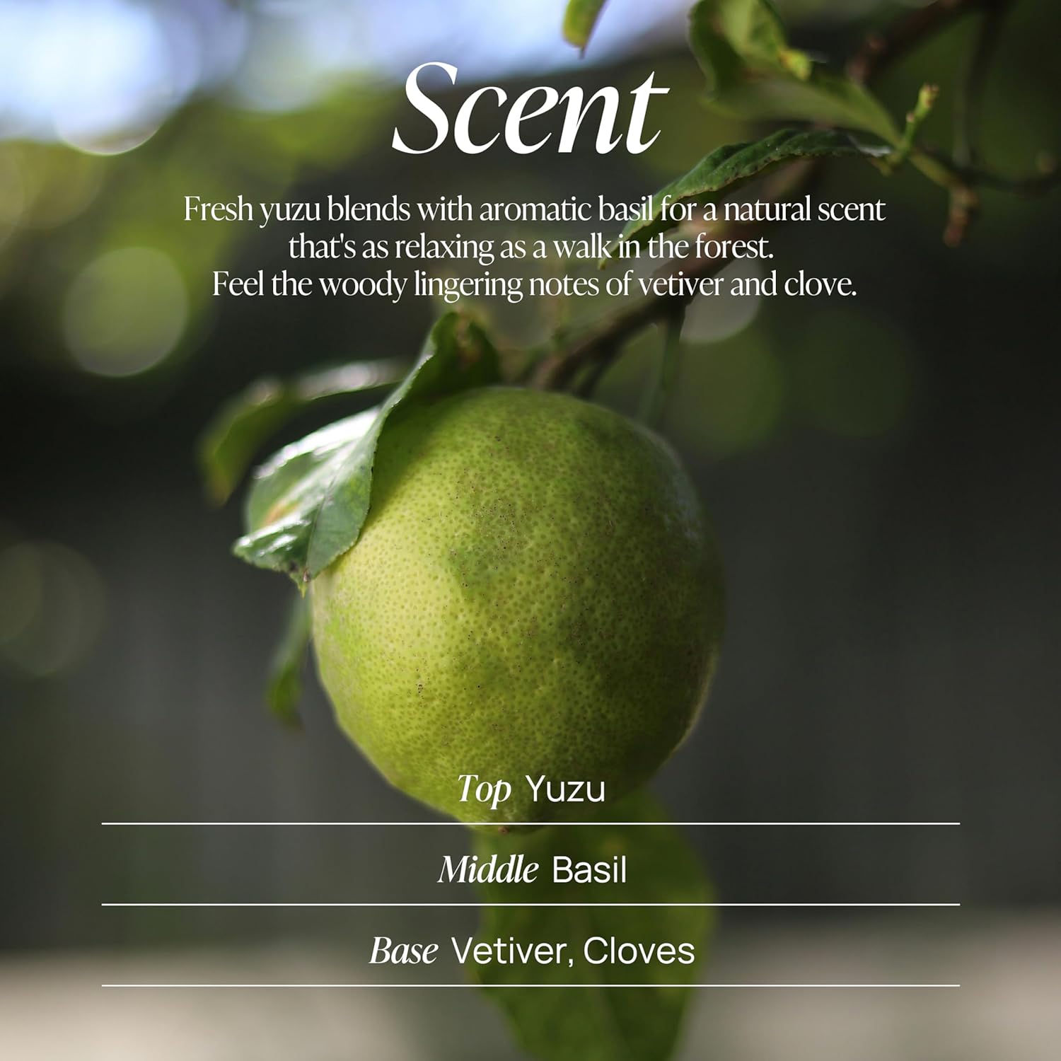 Voya Voyager Citrus Basil Vetiver Cloves Body Wash 10.14 Fl. Oz. Refreshing Scent - Image 4