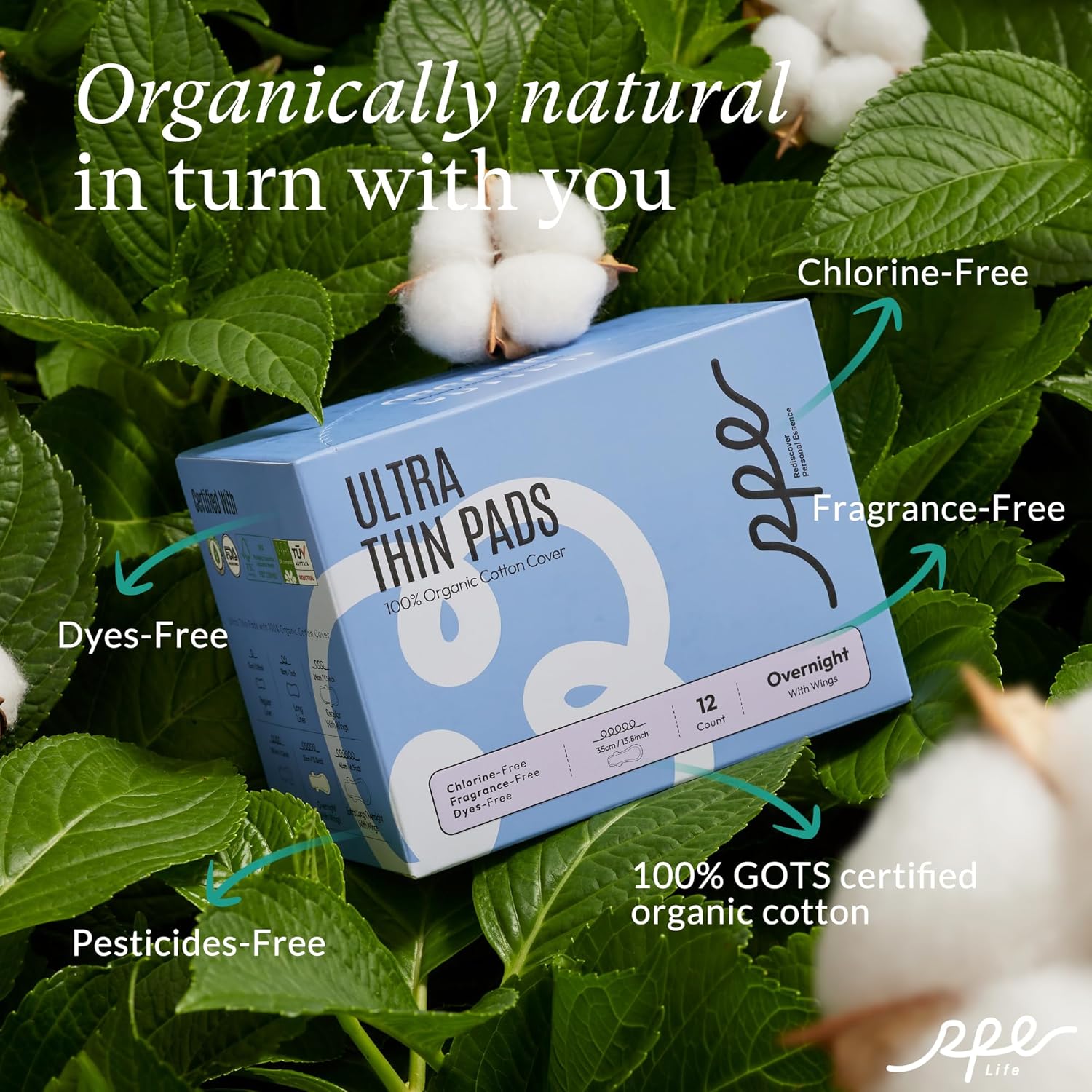 Organic Ultra Thin Overnight Pads for Women, Extra Heavy Flow, Size 5, 36 Count - Image 3