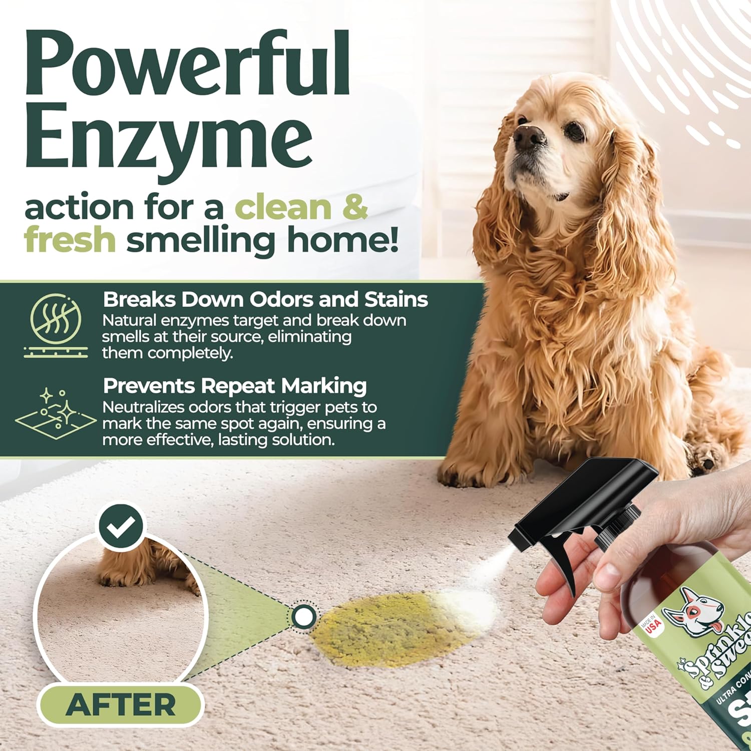 Sprinkle & Sweep Pet Stain and Odor Remover - Super Concentrated Pet Odor Eliminator for Home - No Scrubbing Dog & Cat Urine Enzyme Cleaner Destroyer - Carpet Cleaner for Multiple Surfaces (24 oz) - Image 2