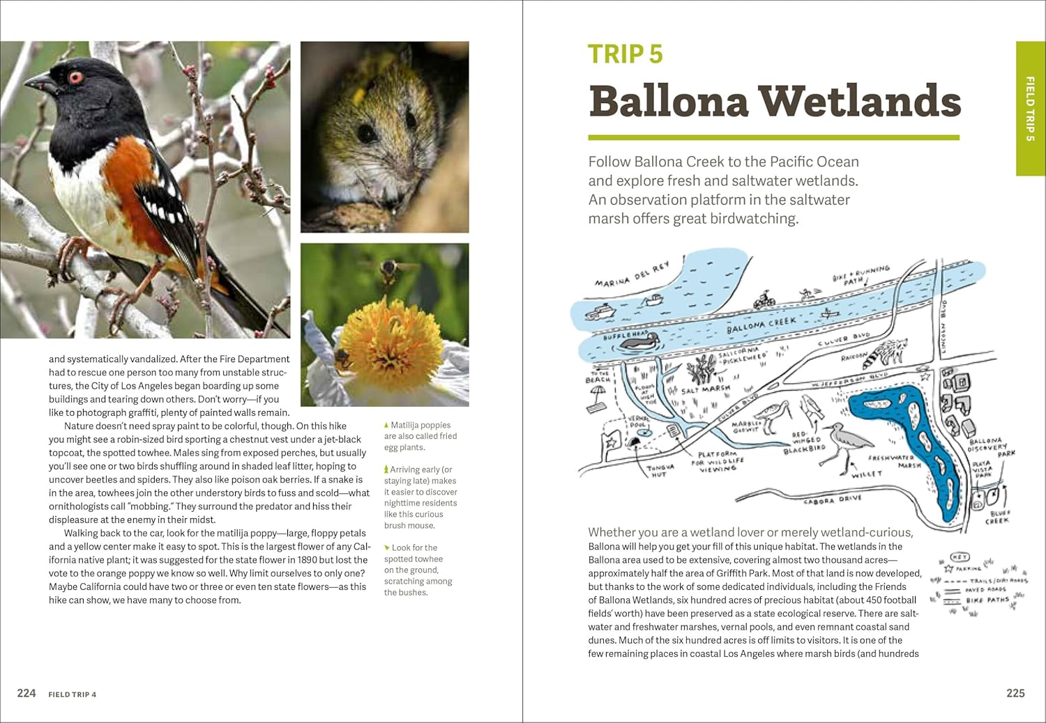 Wild LA: Explore the Amazing Nature in and Around Los Angeles (Wild Series) - Image 8