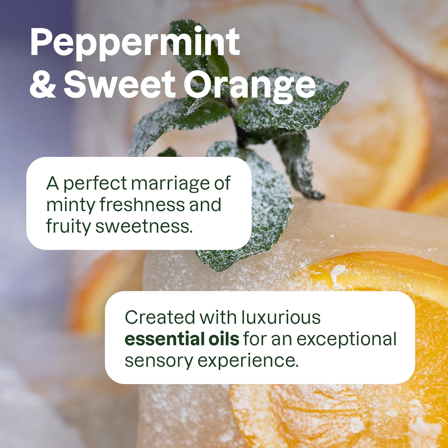 ATTITUDE Hydrating Peppermint & Sweet Orange Conditioner, Vegan, 16 Fl Oz Aluminum Bottle - Image 6