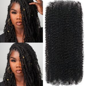 Afro Kinky Bulk Human Hair for Braiding – 20 Inch, Double Drawn, 35g/Strand, Natural Black – Kinky Curly Braiding Hair for Locs, Twists, Loc Repair, Dreadlock Extensions (Natural Black, 20 Inch)