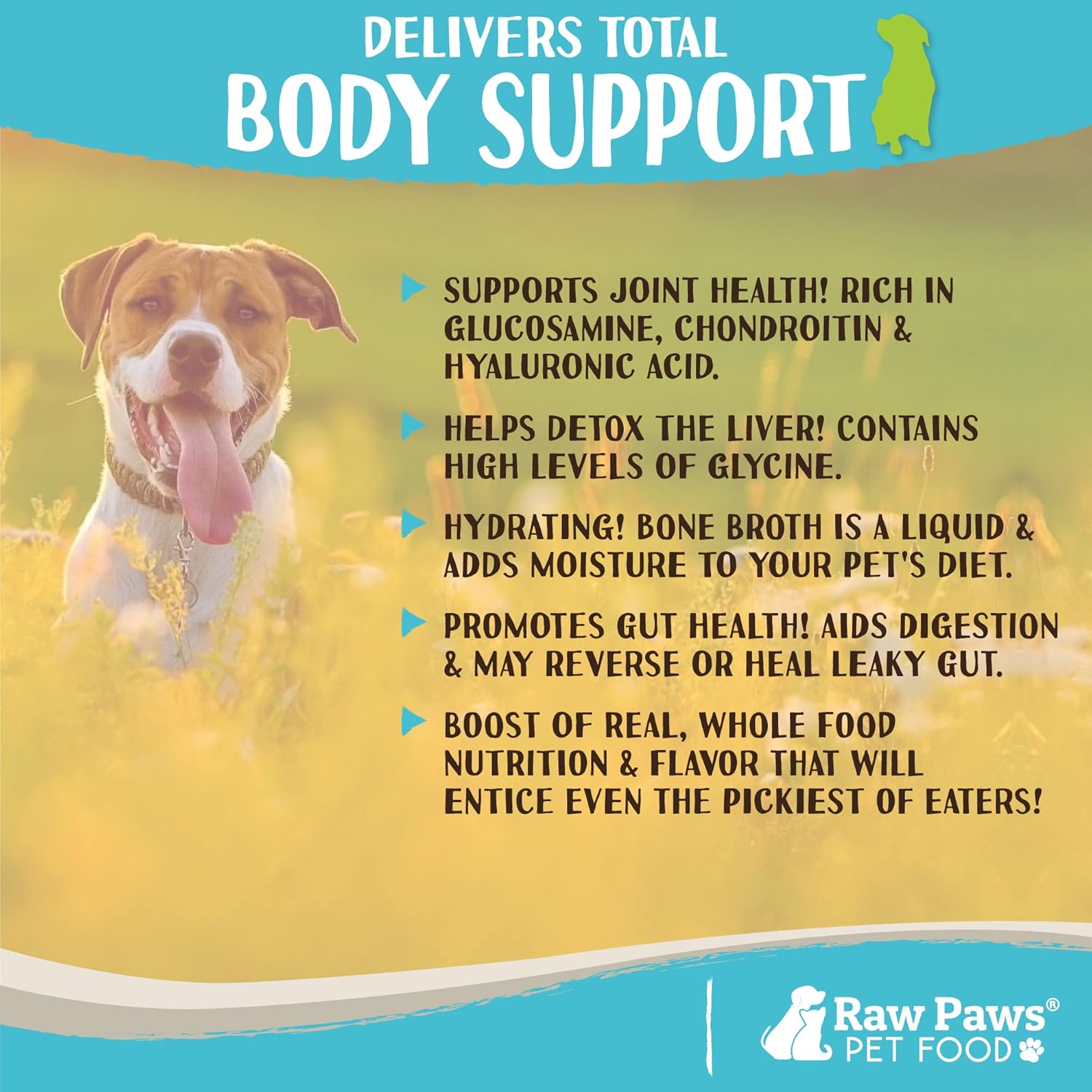 Raw Paws Beef Bone Broth 6-oz Dog and Cat Food Topper for Joint Health - Image 5