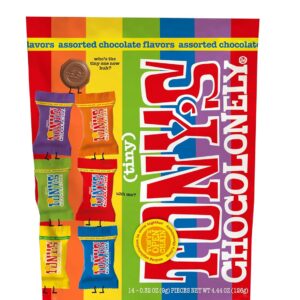 Tony’s Chocolonely Assorted Chocolate Candy Pieces, Belgian Milk & Dark Chocolate, Caramel Sea Salt, Almond Sea Salt, Honey Almond Nougat, Pretzel Toffee, Made From Quality Fairtrade Cocoa, 4.44 Oz