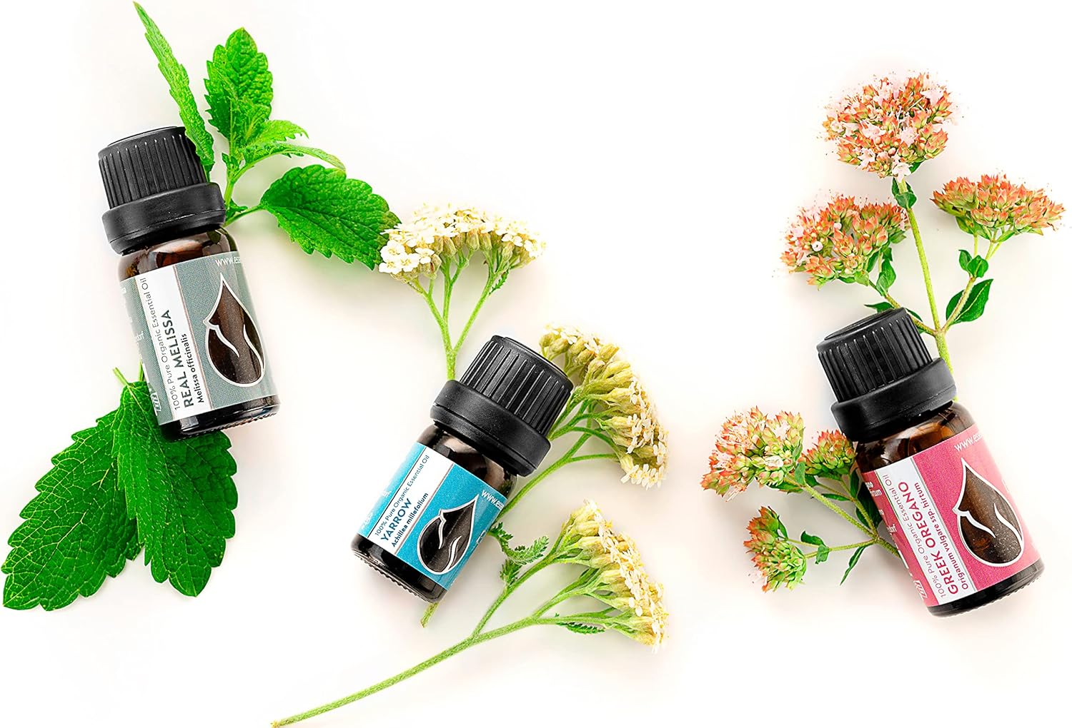 Essences Bulgaria Organic Real Melissa Essential Oil 1/6 Fl Oz | 5ml | Melissa Officinalis | 100% Pure and Natural | Undiluted | Therapeutic Grade | Family Owned Farm | Steam-Distilled | Non-GMO - Image 7