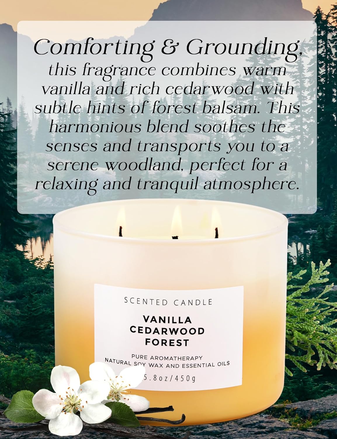 Vanilla Cedarwood Forest Large 15.8 oz Soy Scented Candle for Home Relaxation - Image 2