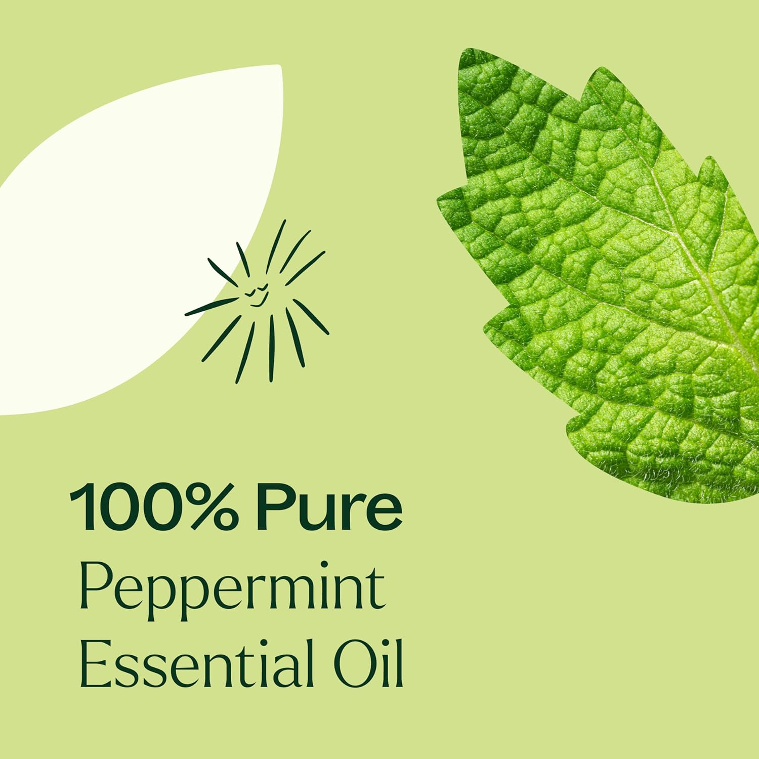 Plant Therapy Peppermint Essential Oil 100 mL (3.3 oz) 100% Pure, Undiluted, Natural Aromatherapy for Diffuser & Topical Use, Digestion, Respiratory, & Massage, Peppermint Oil for Skin & Hair - Image 7