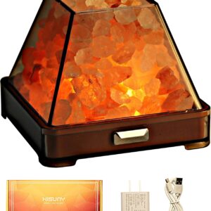 Touch Himalayan Salt Lamp with Smart Heating Essential Oil System, 6-Way Dimmable Mini USB LED Pink Natural Salt Rock Night Lamp for Home Decor Zen Gifts Salt Therapy Yoga Spa Meditation