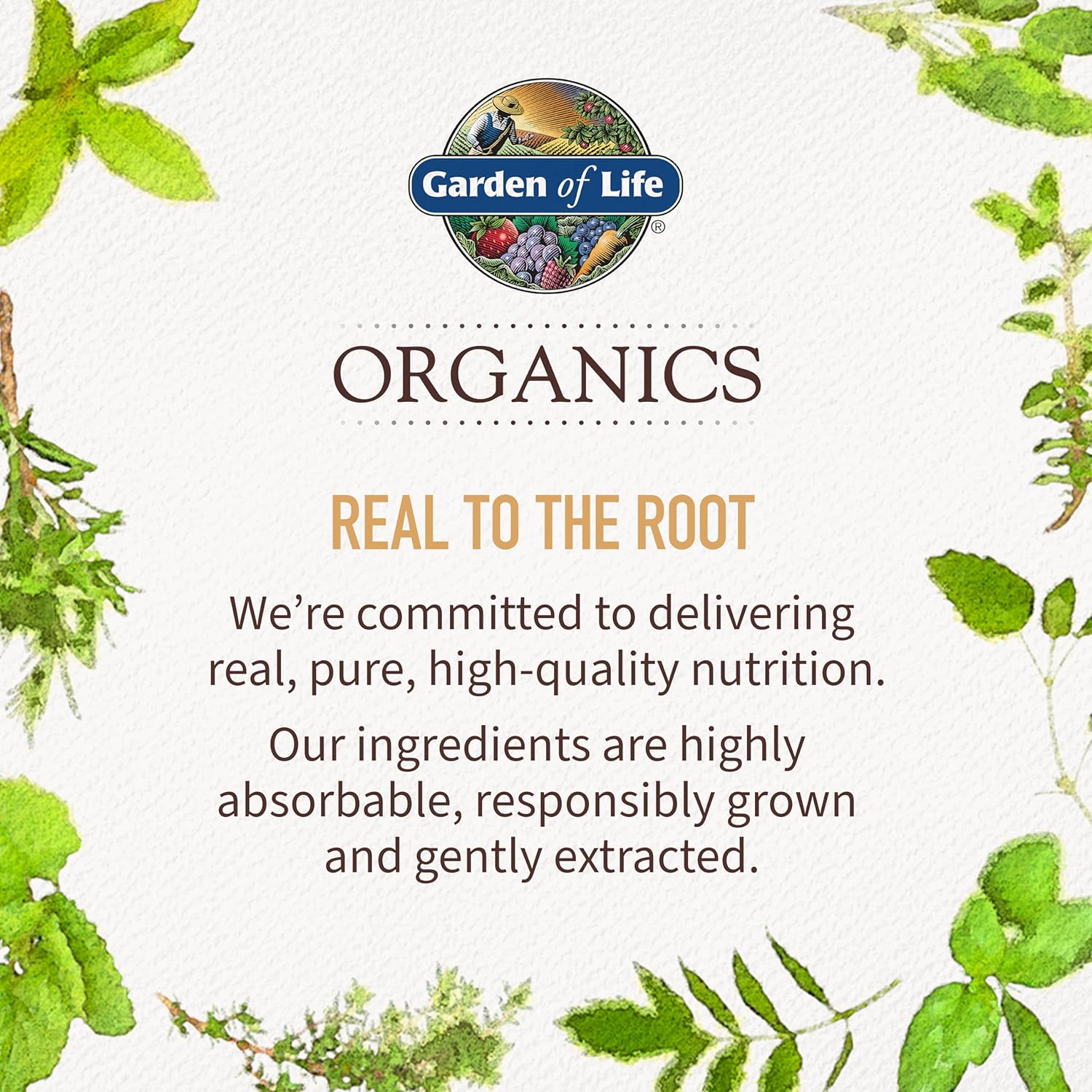 Garden of Life Organics Fair Trade Gelatinized Peruvian Maca Root Energy Boost 7.93 oz (225g) Powder with Probiotics, Certified Organic, Non-GMO, Vegan & Gluten Free Herbal Supplements - Image 7