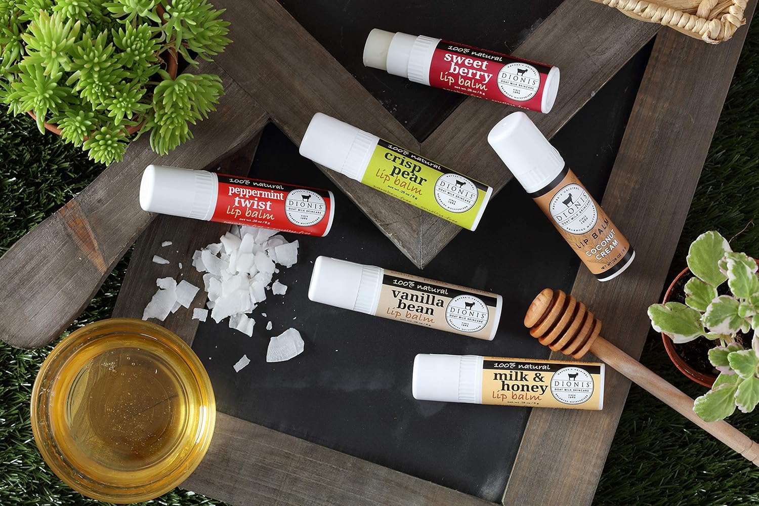 Dionis Goat Milk Lip Balm, Milk & Honey Scent, 0.28 oz, Cruelty-free Formula - Image 3