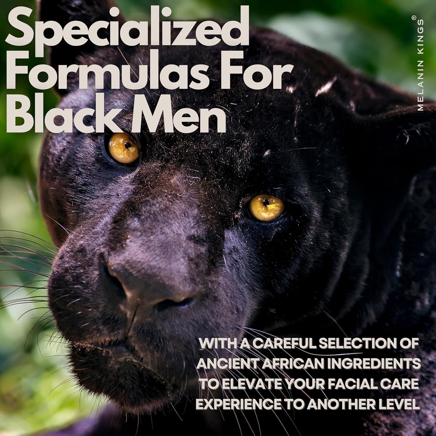 Melanin Kings Beard Oil for Black Men - Specialized formula for Black Men - With ancient African Ingredients - 100% Natural Ingredients - 2fl. Oz. - Kenyan Sandalwood Scent - Image 3
