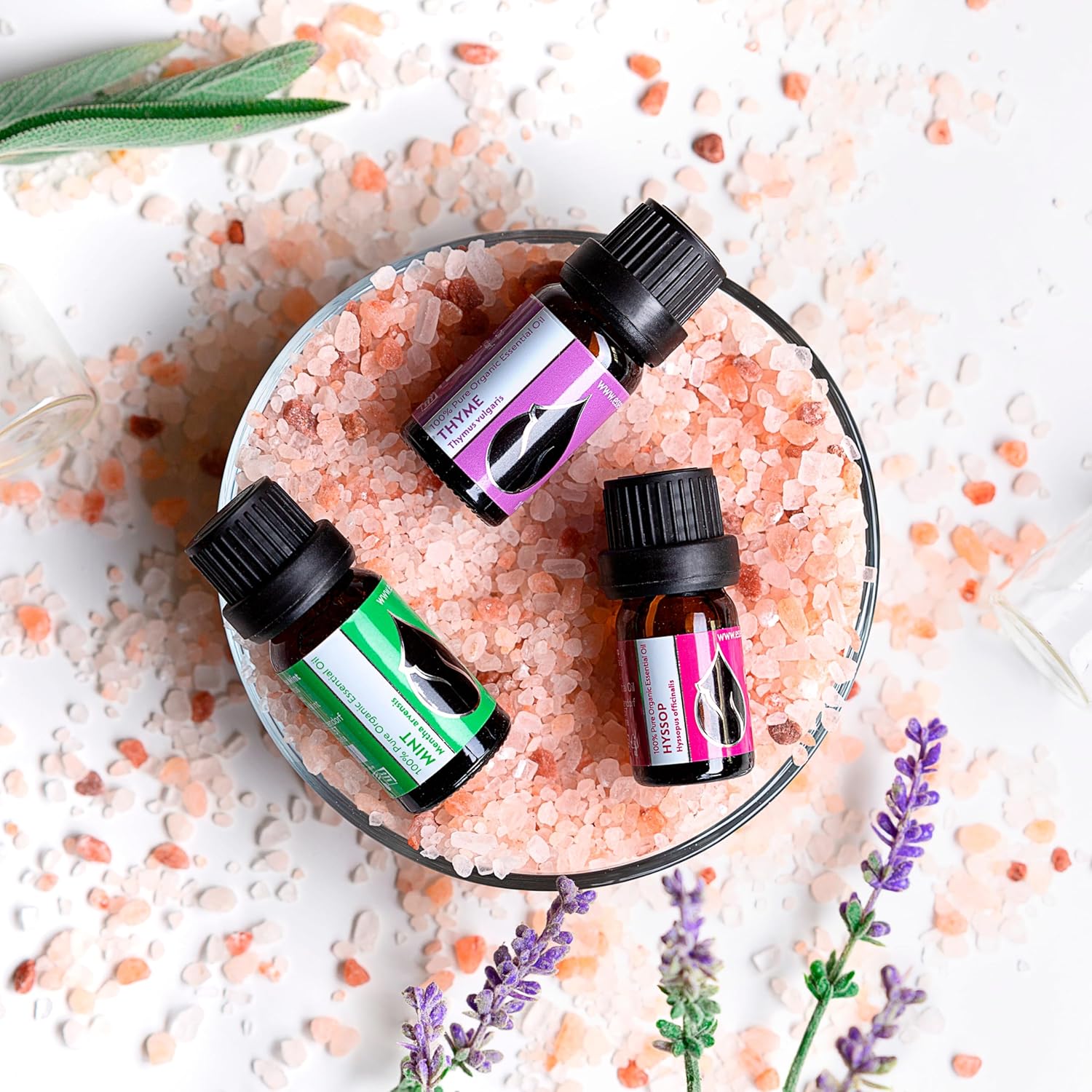 Organic Mint Essential Oil 1/3 Fl Oz 100% Pure Natural for Aromatherapy and Massage - Image 7