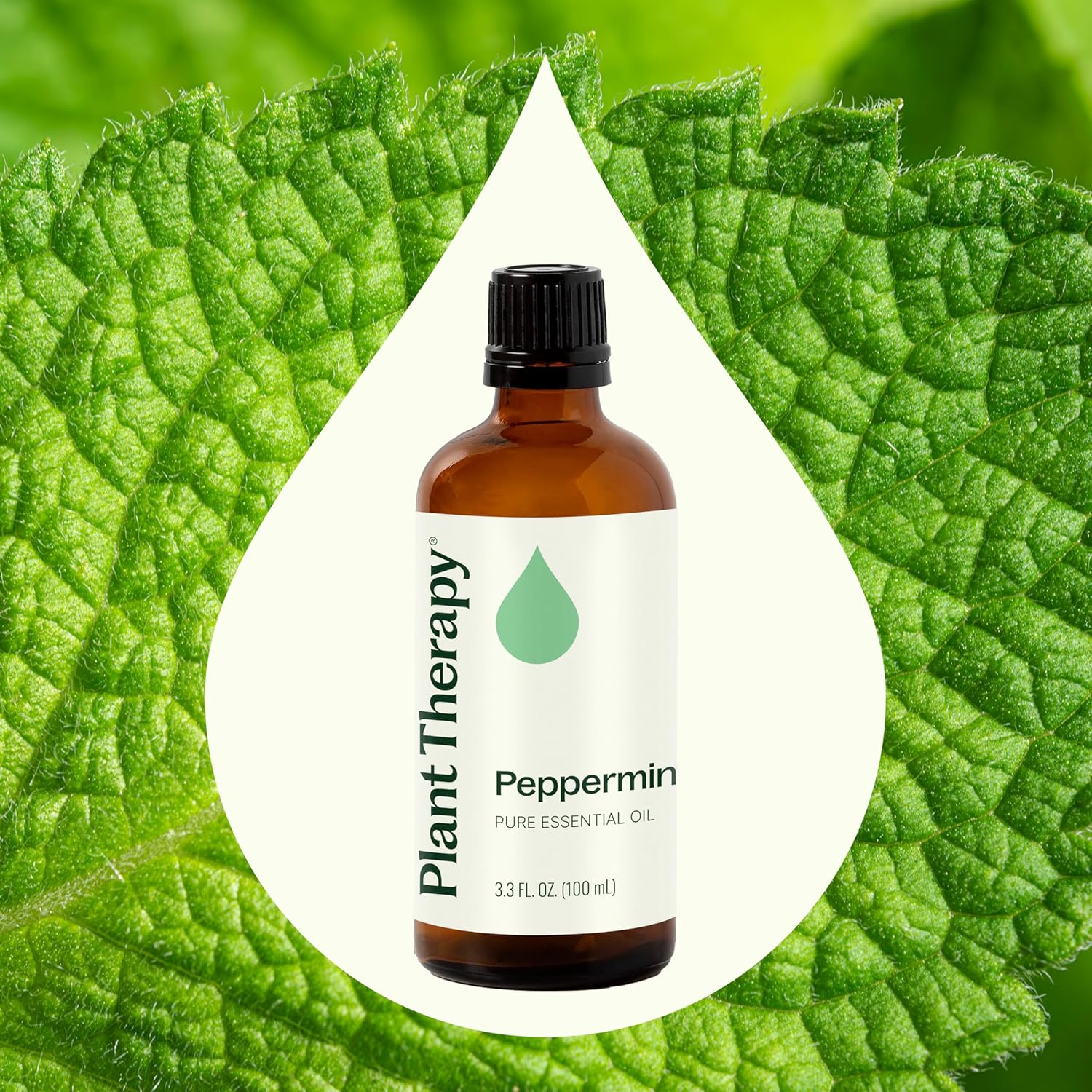 Plant Therapy Peppermint Essential Oil 100 mL (3.3 oz) 100% Pure, Undiluted, Natural Aromatherapy for Diffuser & Topical Use, Digestion, Respiratory, & Massage, Peppermint Oil for Skin & Hair - Image 3
