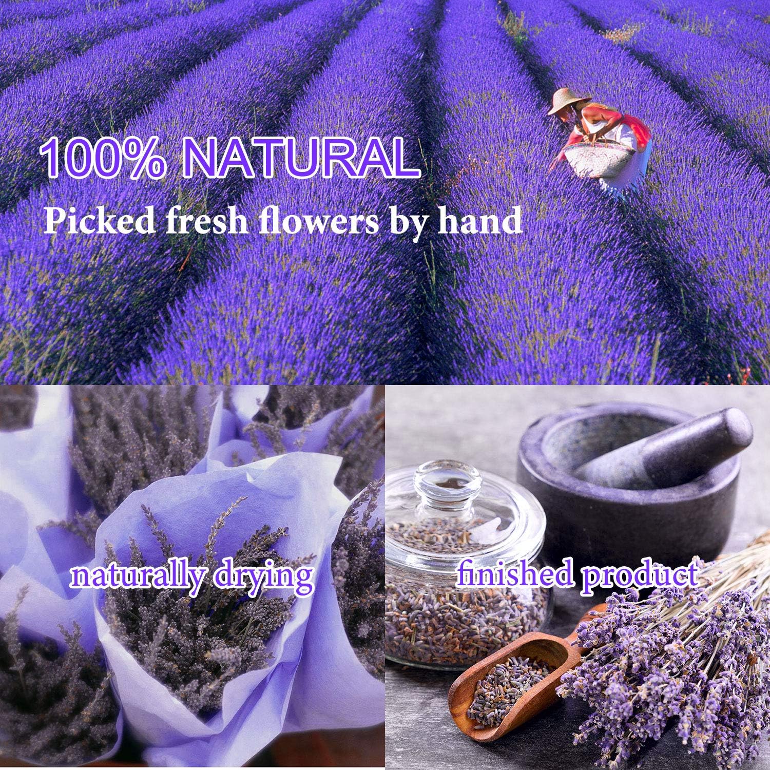 9 Bags Dried Flowers,100% Natural Dried Flowers Herbs Kit for Soap Making, DIY Candle Making,Bath - Include Rose Petals,Lavender,Don't Forget Me,Lilium,Jasmine,Rosebudsand More - Image 3