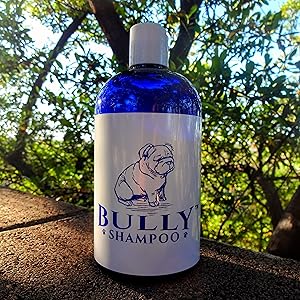 bully Shampoo