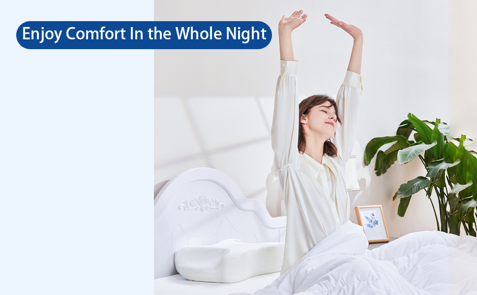 CPAP Pillow Image