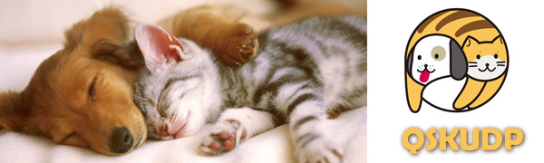 Pet Spray System