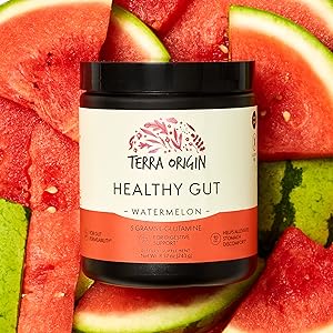 Terra Origin Healthy Gut Powder