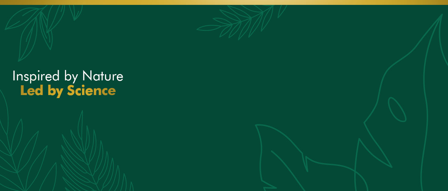 desktop