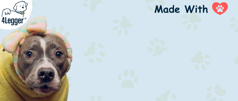 4-Legger Organic Dog Shampoo
