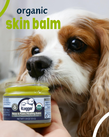 4-Legger Certified Organic Dog Shampoo