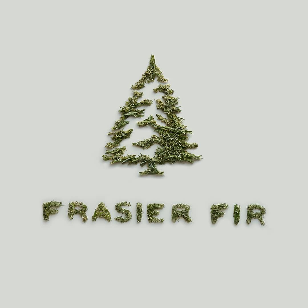 Thymes Frasier Fir Candle - Molded Green Glass Jar with Pine Needle Design - Winter Candle Gifts for Women & Men - Fresh Home Fragrance - Notes of Crisp Siberian Fir, Cedarwood & Sandalwood (6.5 oz) - Image 9