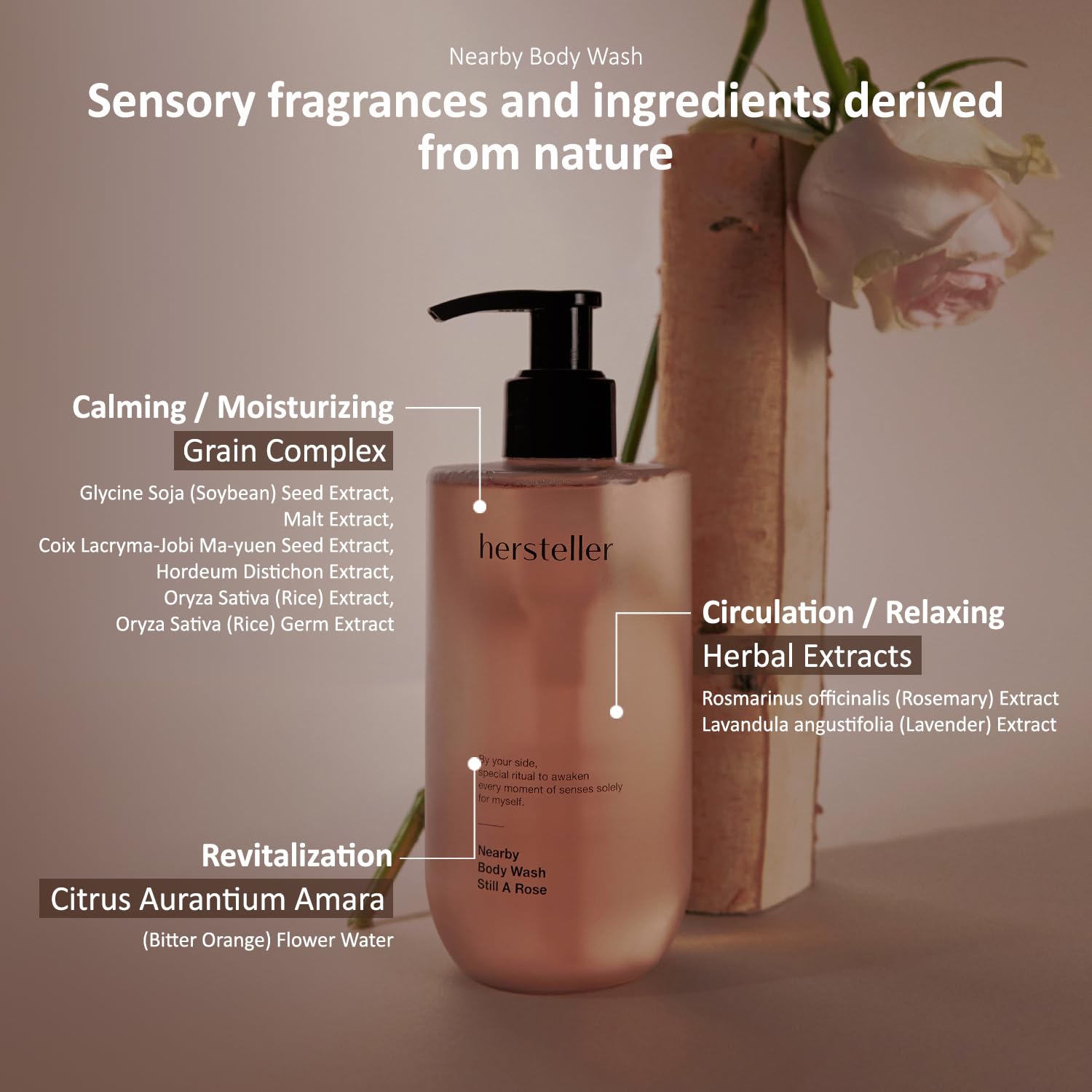 Hersteller Nearby Scented Vegan Body Wash 10.1 fl oz Moisturizing Soothing Cleanser for Dry Skin Still A Rose - Image 2