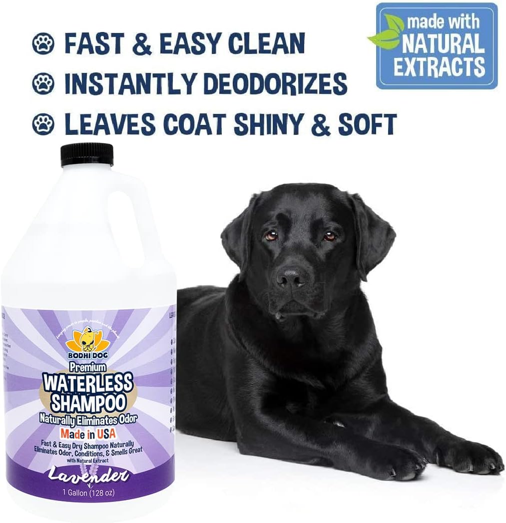 Bodhi Dog Waterless Shampoo - Natural Dry Shampoo for Dogs & Cats - Neutralizes Pet Odor - No Rinse Required - Made of Natural Extracts - Safe for Sensitive Skin - Made in USA - Lavender (1 Gallon) - Image 3