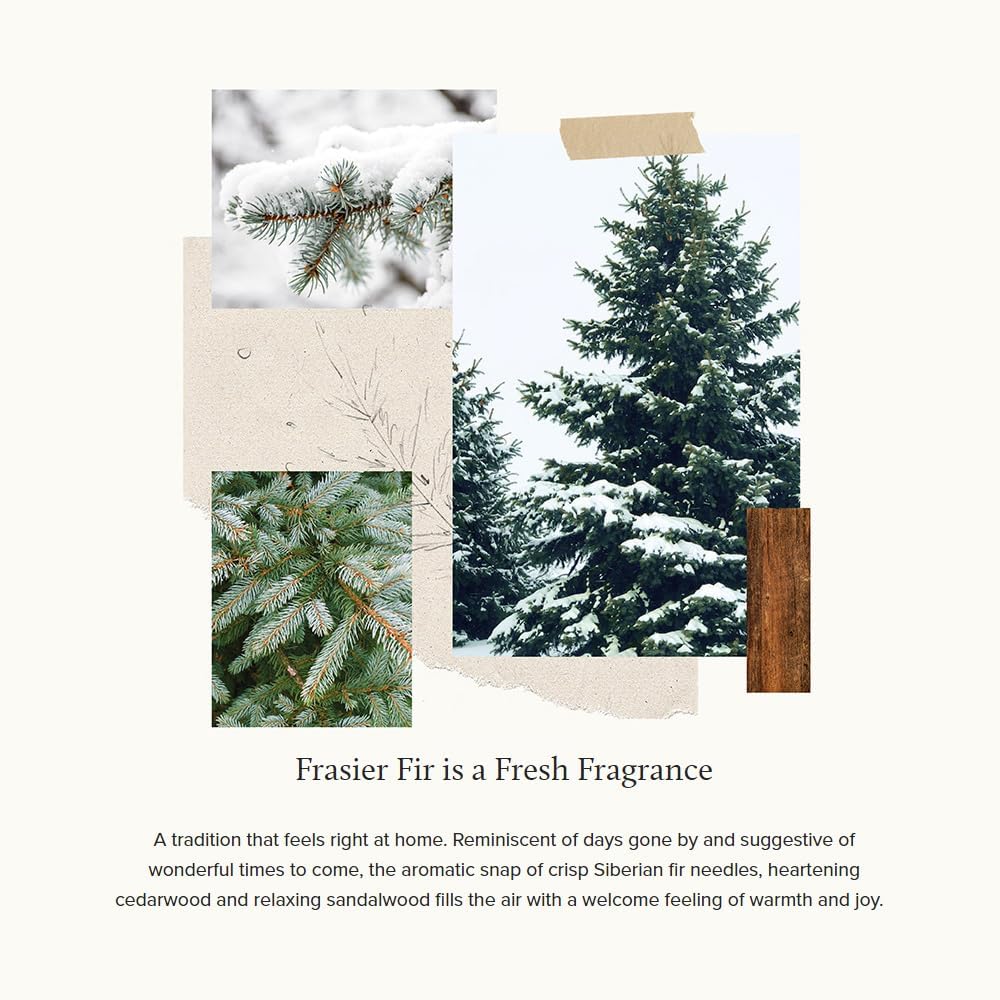 Thymes Frasier Fir Candle - Molded Green Glass Jar with Pine Needle Design - Winter Candle Gifts for Women & Men - Fresh Home Fragrance - Notes of Crisp Siberian Fir, Cedarwood & Sandalwood (6.5 oz) - Image 3