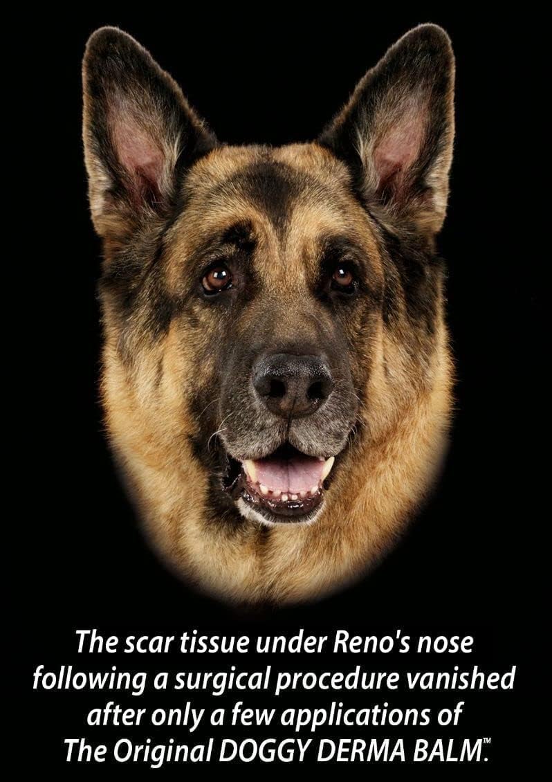 Doggy Derma Balm Jumbo-Sized Skin Repair Stick w/Manuka Honey. Soothes & Heals Dog's Dry Cracked Noses, Paws, Bulldog Wrinkles 100% Natural (1-Pack) - Image 4