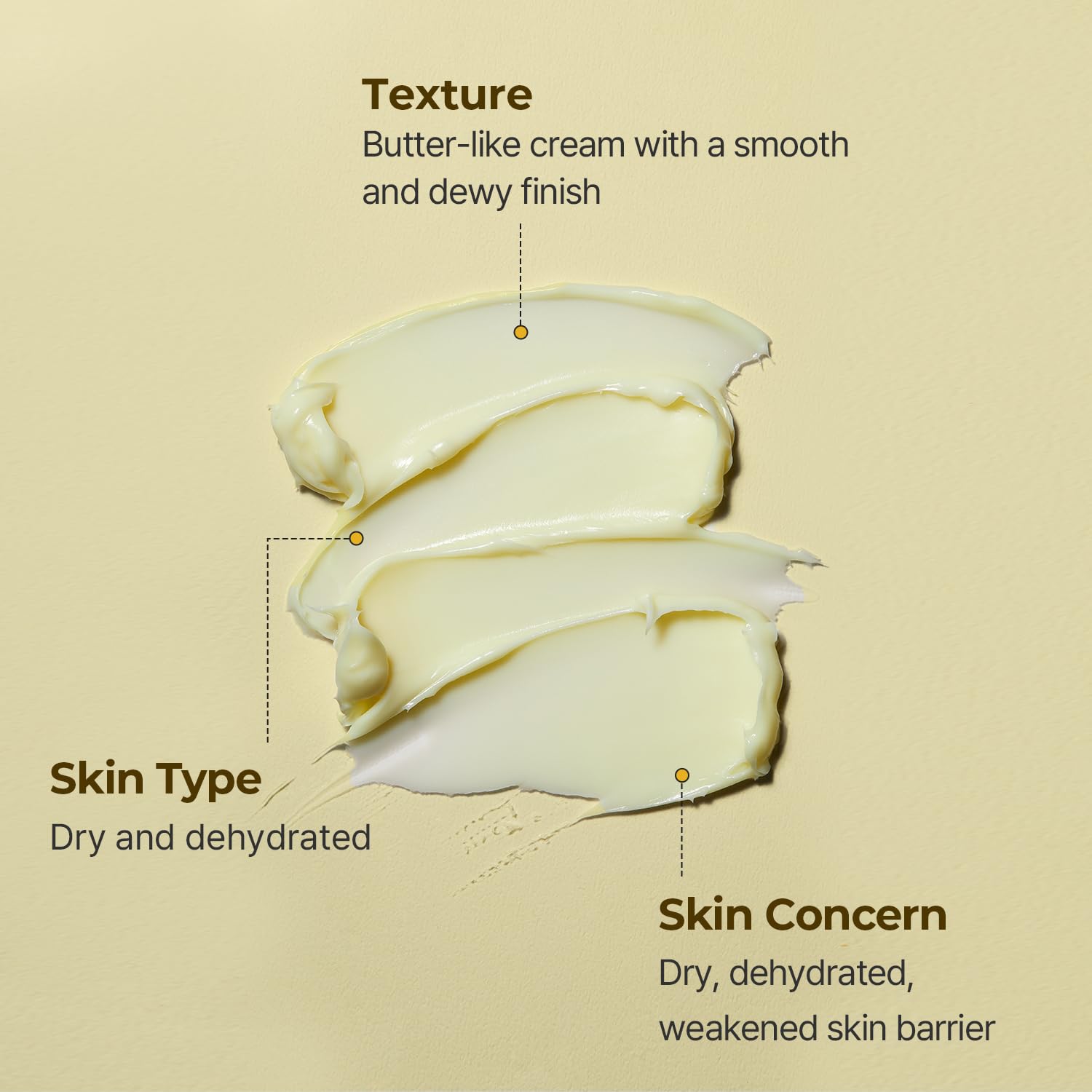 Torriden SOLID IN Ceramide Cream 70ml (2.36 fl. oz.) | Ceramide Moisturizer for Healthy Skin Barrier, Soothing, Nourishing | 5 types of Ceramide, Allantoin, Panthenol - Image 2