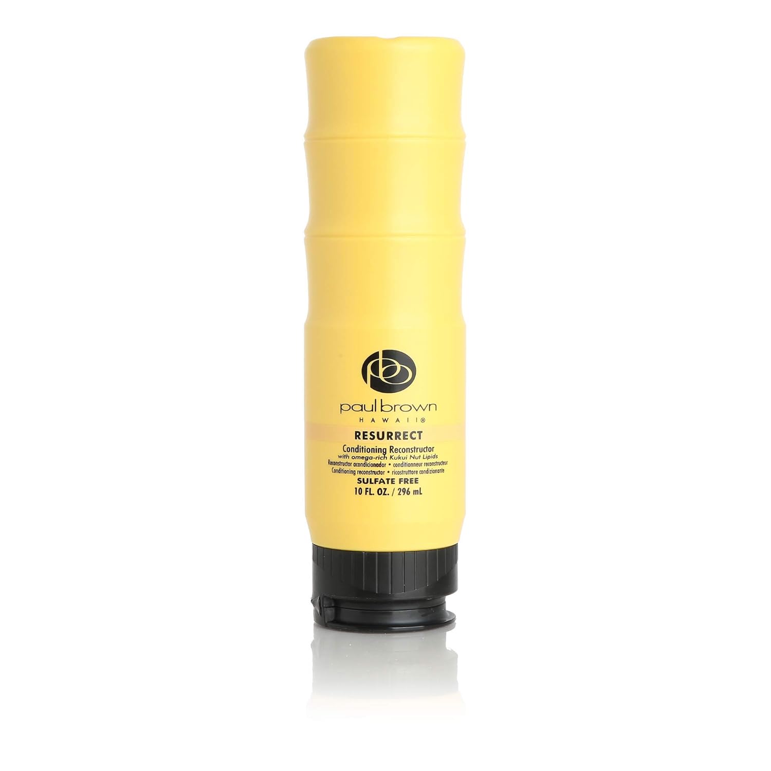 Paul Brown Hawaii Resurrect Salon Quality Conditioner | Hydrate & Treat Damaged Hair | Antioxidant-Rich Kukui Nut Oil for Ultimate Hair Moisturization | Safe for Color Treated Hair (10 oz.)