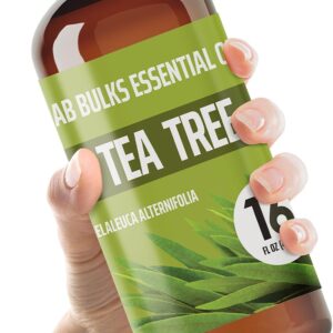 Tea Tree Essential Oil 16 oz Big Bottle for Diffuser, Face, Hair, Aromatherapy, and Tea Tree Spray (473 ml)