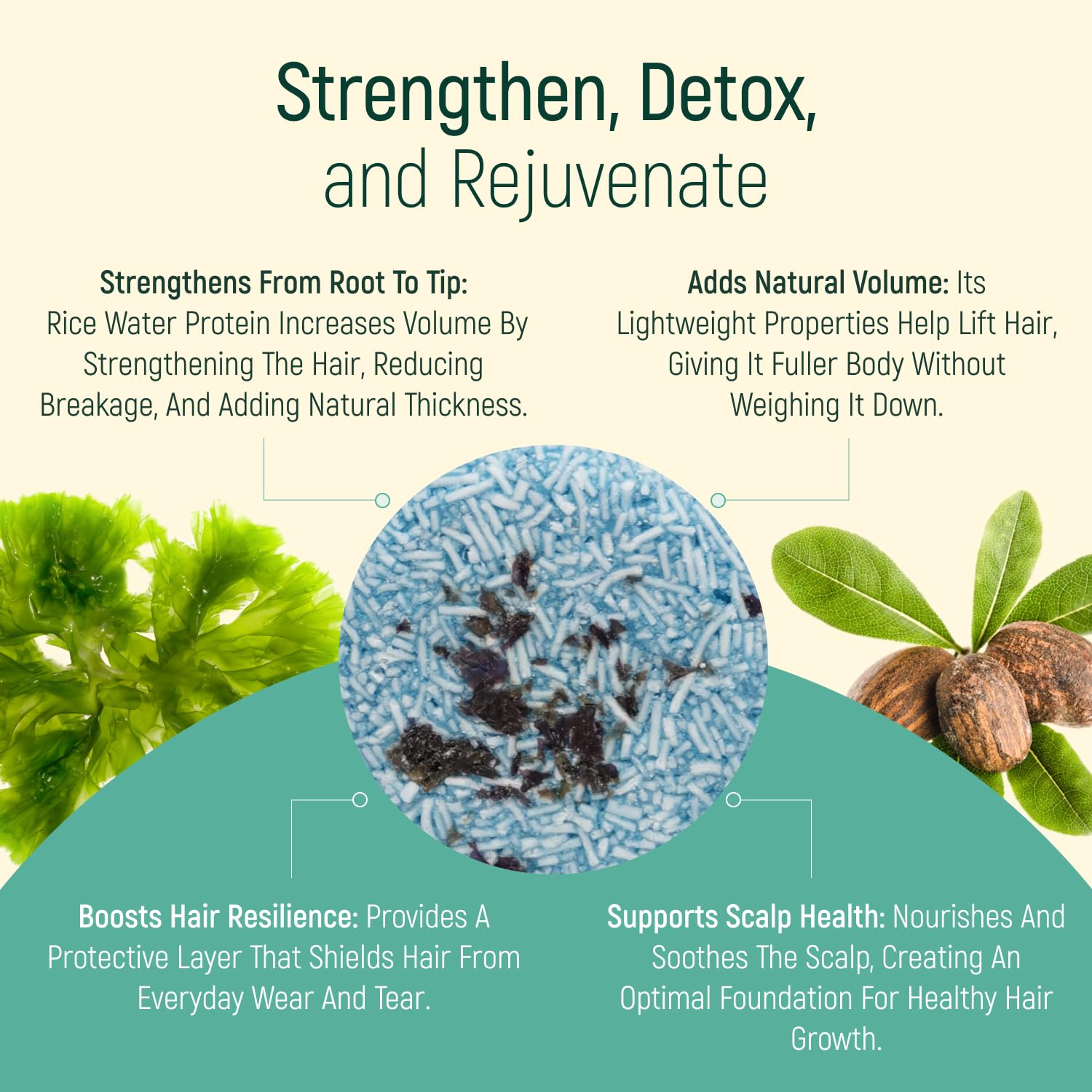 100g Organic Seaweed Solid Shampoo and Conditioner Bar with Plant-Based Oils Biodegradable Packaging - Image 4