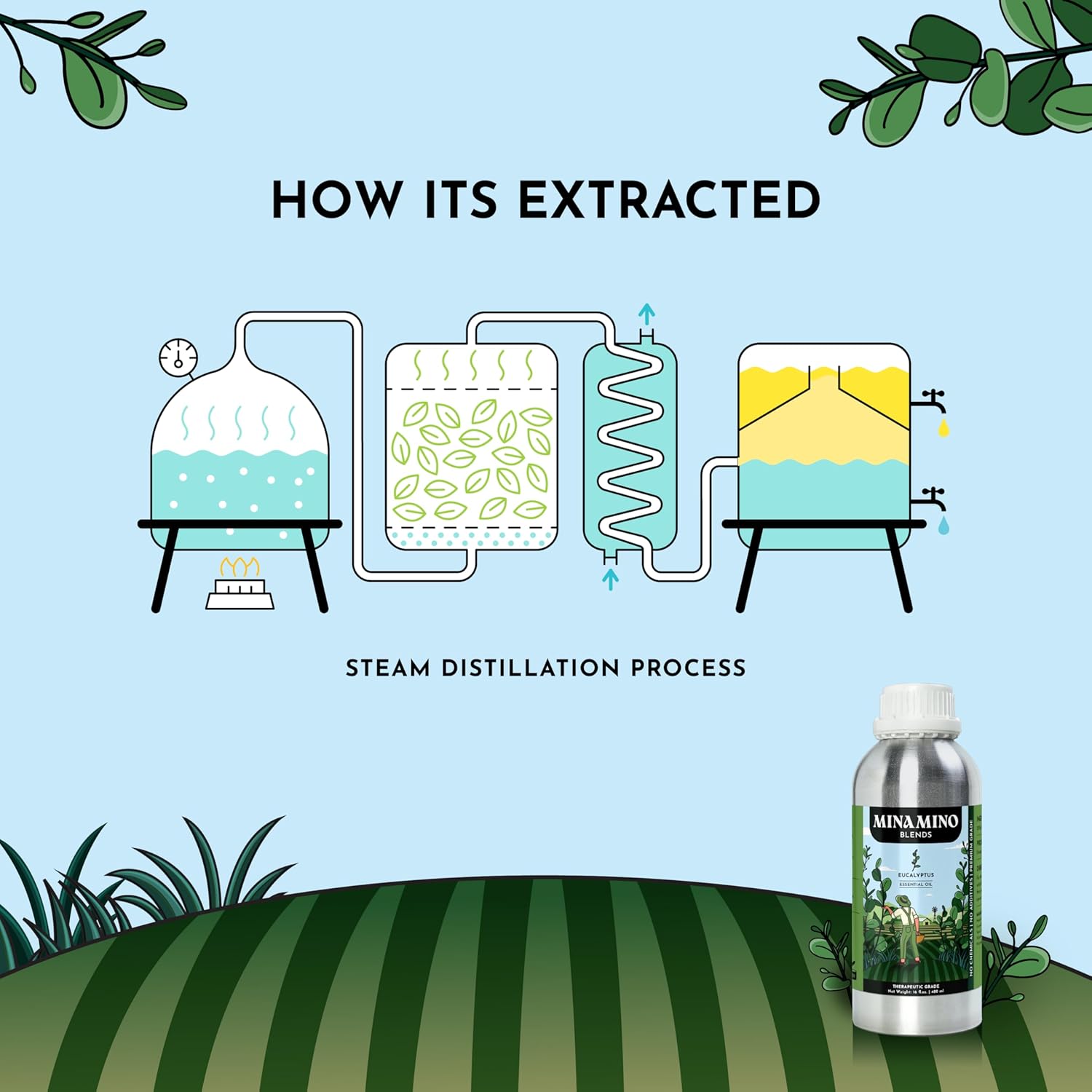 16 fl oz - Eucalyptus Essential Oil (100% Pure & Natural) Large Aluminum Bottle for Aromatherapy, Diffuser, Candle & Soap Making - Minamino Blends - Image 8