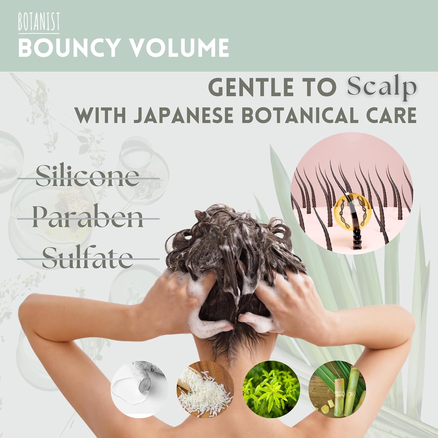 Organic Peony Orange Blossom Shampoo for Curly Hair, 15.5 Fl Oz, Silicone Sulfate Free - Image 6